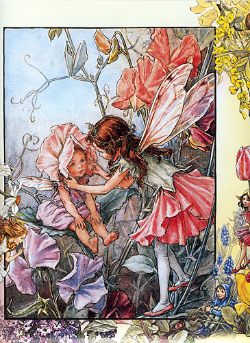 The Sweet Pea Fairies